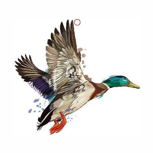 Mallard Duck Air Freshener