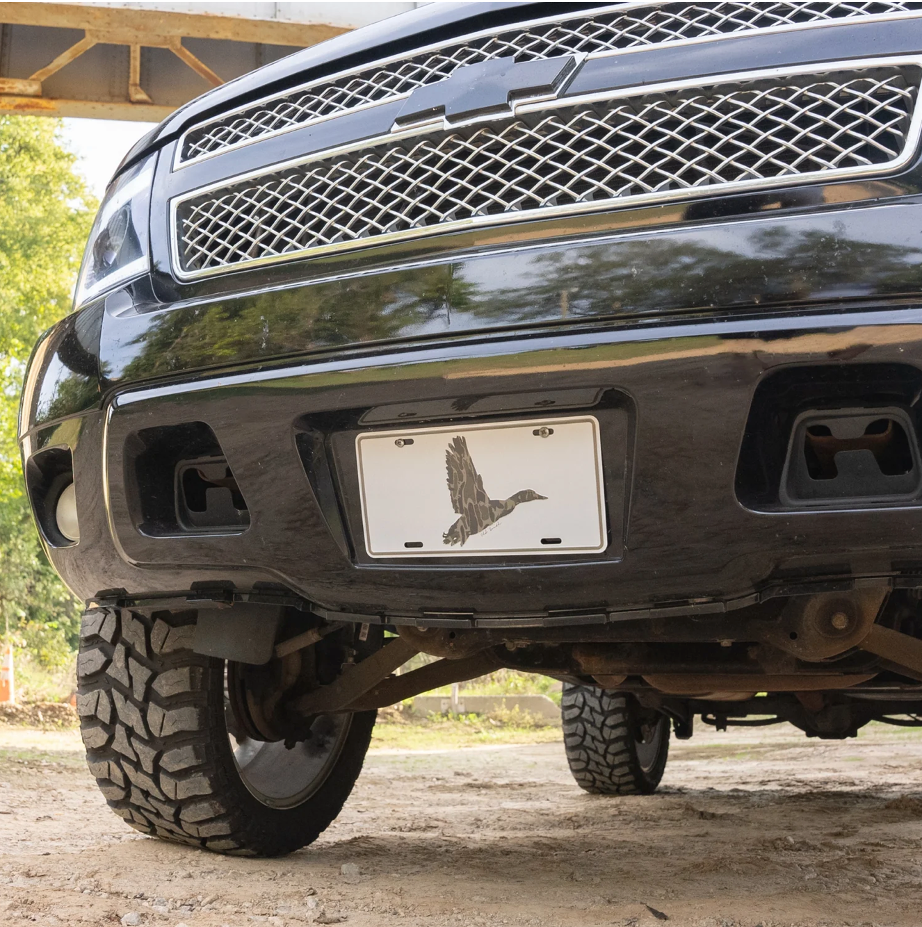 Duck Wings License Plate