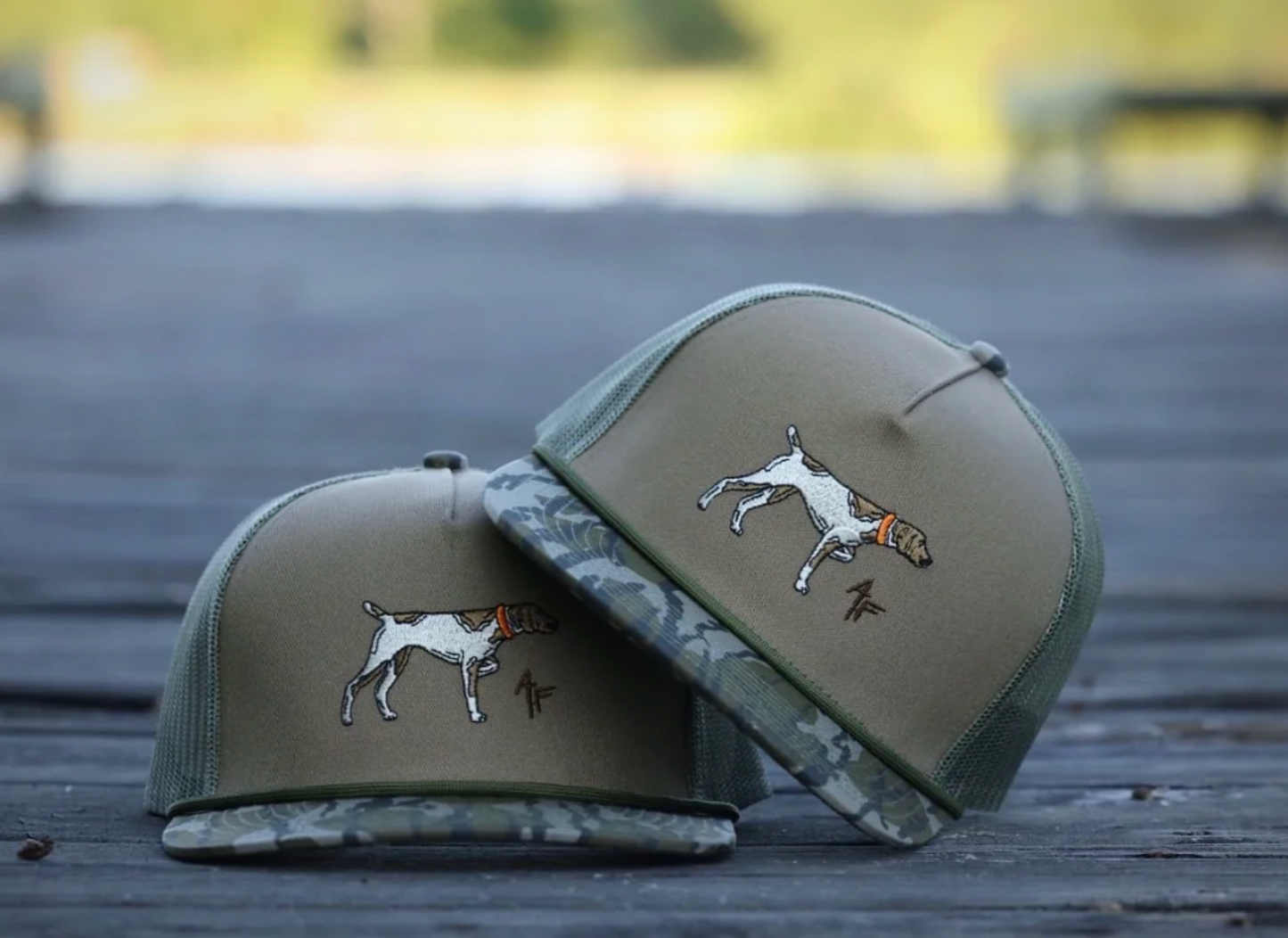 THE POINTER - BOTTOMLAND ROPE
