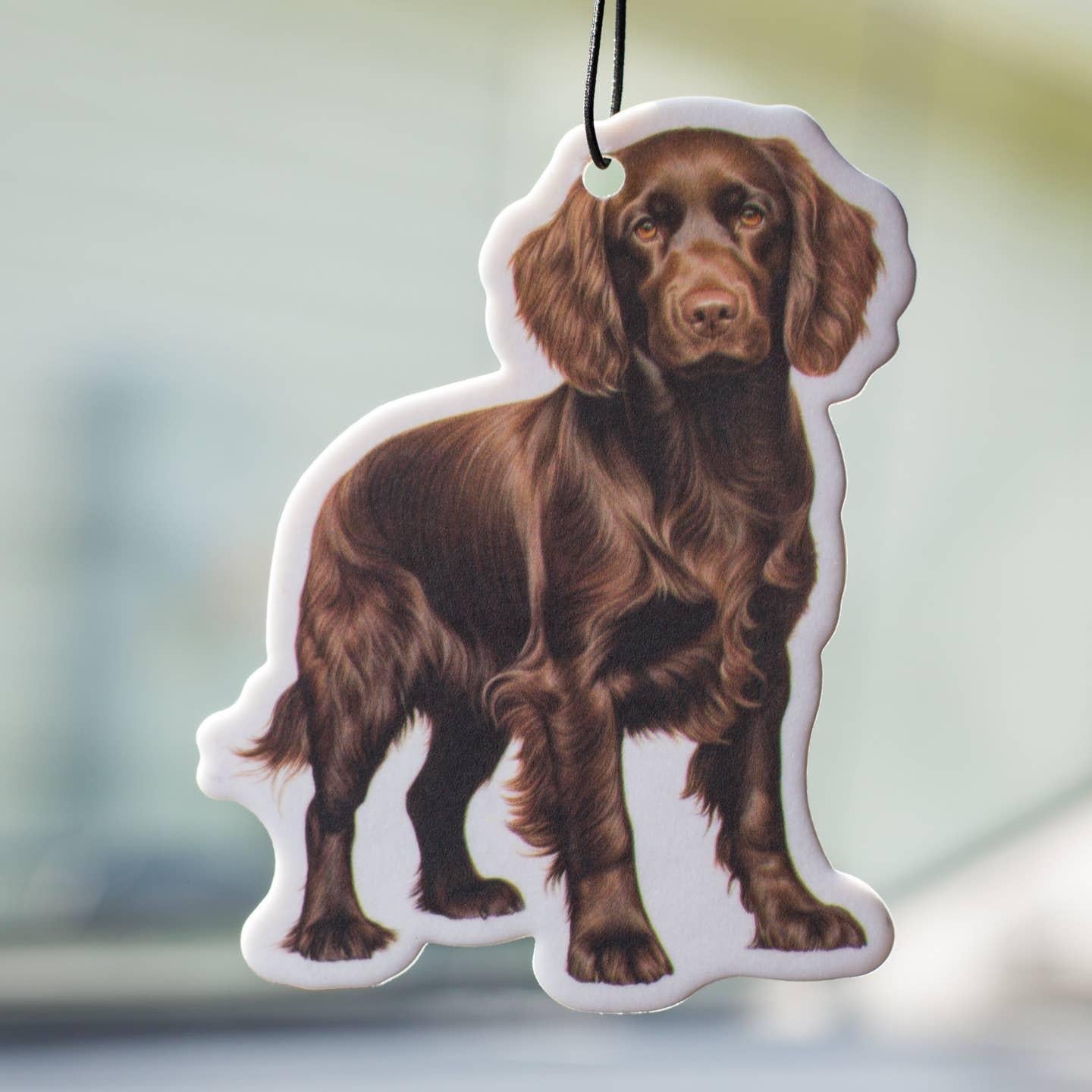 Boykin - Air Freshener